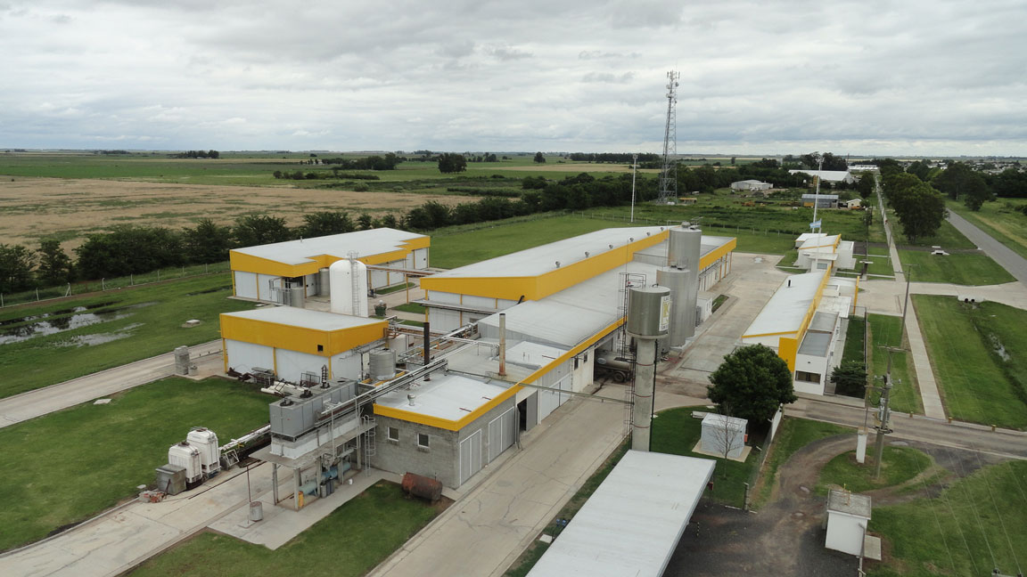 Colonia Orcoví – Web y Diseño